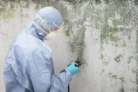 Forensic Mold Investigation in Glen Dale, WV